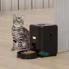 Automatic Dog & Cat Feeder